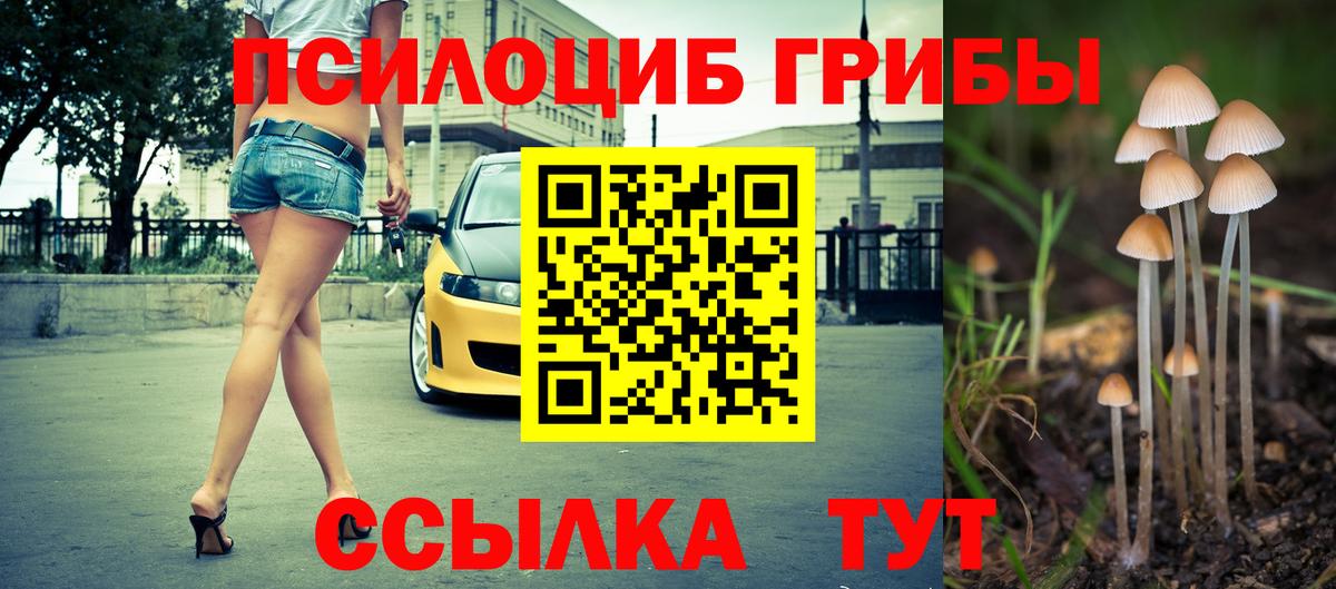 Галлюциногенные грибы ЛСД Отрадное