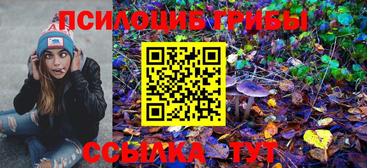 Отрадное  Галлюциногенные грибы прущие грибы  Вход с VPN 